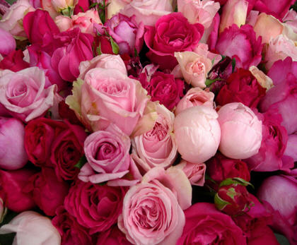 a bunch of roses, sent by secret admirer!!! oooooooooooooo